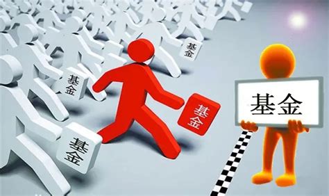 共同基金在中国叫什么共同基金案例解析 金股网