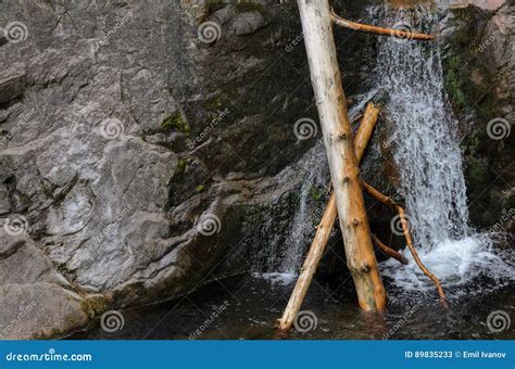 Jammed Tree Logs Into Small Mountain River Stock Image Image Of