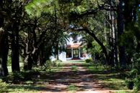 Une All E De Jardin Qui C Toie Des Arbres Centenaires