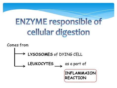 Necrosis and types