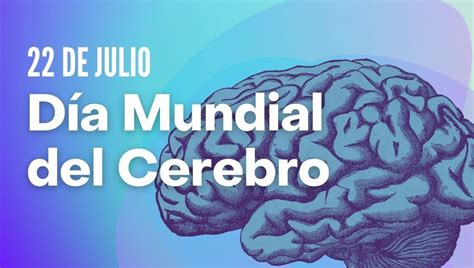 22 de Julio Día Mundial del Cerebro Neurocountry