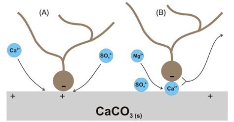 Schematic Model For Proposed Wettability Alteration Mechanism By LSW