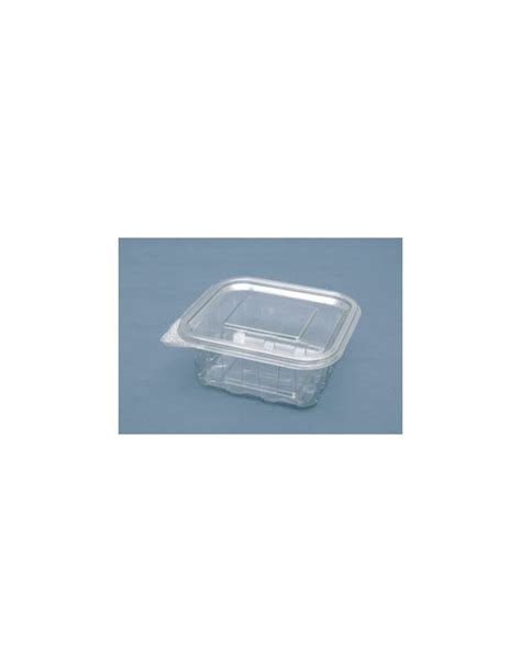 Comprar Envase Rectangular Pet Con Bisagra 250cc 100 Unidades En