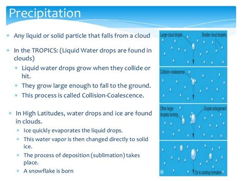 Precipitation Types