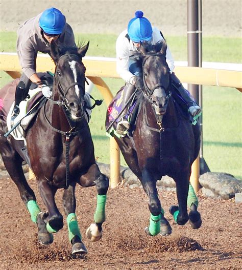 【天皇賞・秋】ジャスティンパレスが横山武史騎手と初コンタクト 杉山晴調教師「『反応や動きがすごかった』と」 Umatoku 馬トク