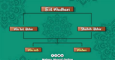 Detail Contoh Fiil Madhi Dan Fiil Mudhori Koleksi Nomer 25