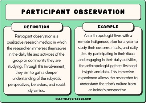 15 Participant Observation Examples 2024