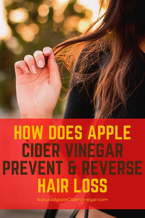 How Does Apple Cider Vinegar Prevent And Reverse Hair Loss All Natural Home In 2020 Apple