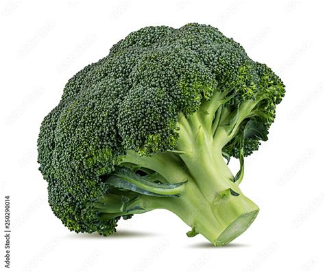 Fresh Broccoli Isolated On White Background With Clipping Path Stock