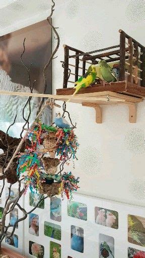 The 6 Best Bird Cage 2023 Reviews Best In Quality Artofit