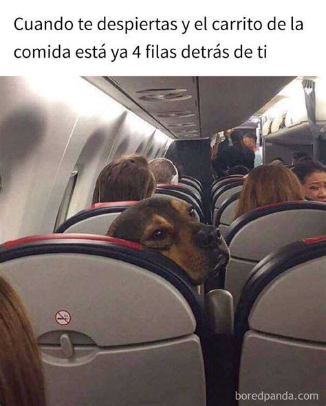 20 Divertidos memes con los que se identificarán los más viajeros