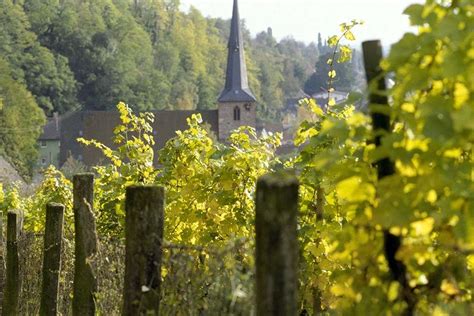 Weinbau Jahre Weintradition In Baden W Rttemberg Themen