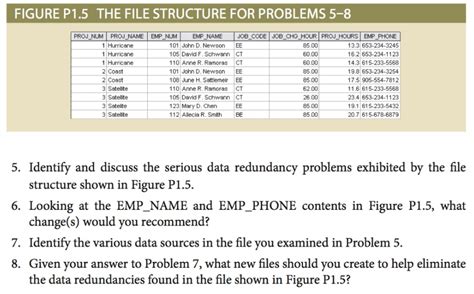 Solved Identify And Discuss The Serious Data Redundancy Chegg