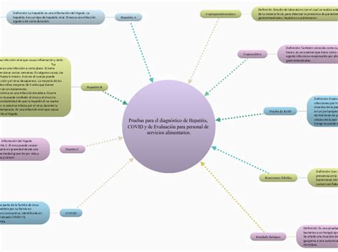 Pruebas Para El Diagn Stico De Hepatitis Mind Map