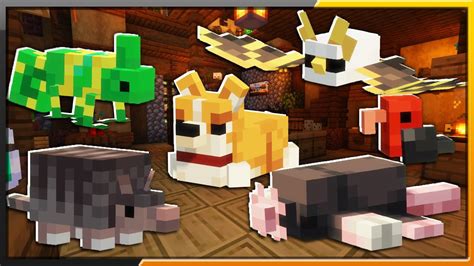 Corgi CamaleÕes Tatu E Mais Ambient Additions Tutorial Minecraft Mod Youtube