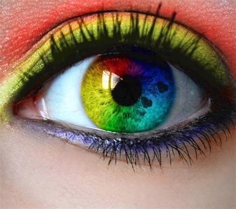 23 best images about Cool eye colors on Pinterest