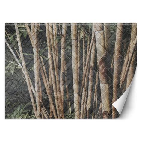 Papier Peint Entoilage 130g m2 Motif Forêt de bambous 368x254 cm