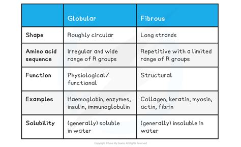 Cie A Level Biology Globular Fibrous Proteins