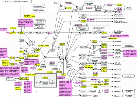 Kegg Pi3kakt Signaling Pathway With Highlighted Dysregulated Mrna And Download Scientific