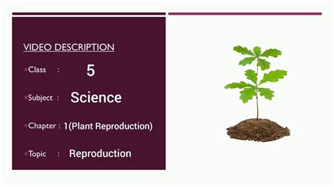 Class 5 Chapter 1 Part 1 Plant Reproduction Youtube