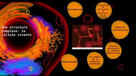 Une structure complexe la cellule vivante by Casssandre Robbé on Prezi