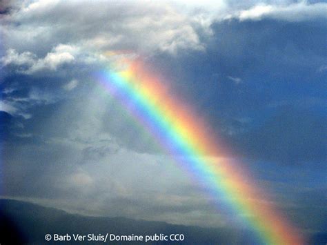 Pourquoi L Arc En Ciel A T Il Des Couleurs Sp Cifiques Eur Koi