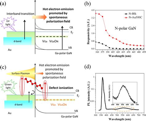 A Schematic Illustration Of The Interband Transition With Hot