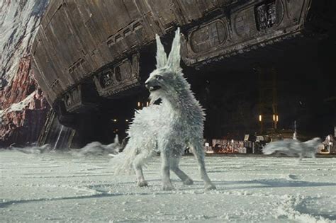 The Last Jedi Crystal Foxes What Are They Why Are They So Shiny