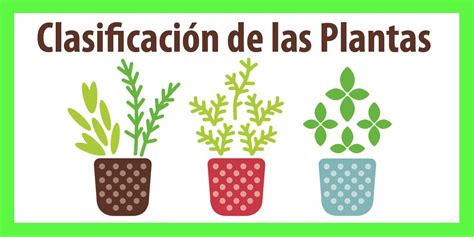 Clasificacion De Plantas