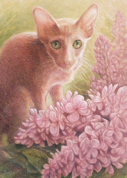 Artist Lynn Bonnette Cat Empire Romantic Drawing S Lilac Bushes