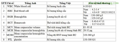 Ý nghĩa các chỉ số tế bào máu ngoại vi và ứng dụng lâm sàng Phục hồi