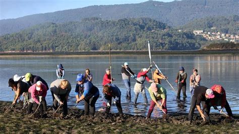 El SOS De Las Mariscadoras La Gente Viene A Trabajar A Base De