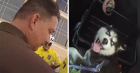 Scumbag Gets Arrested After Leaving Husky Puppy In Hot Car With Mouth