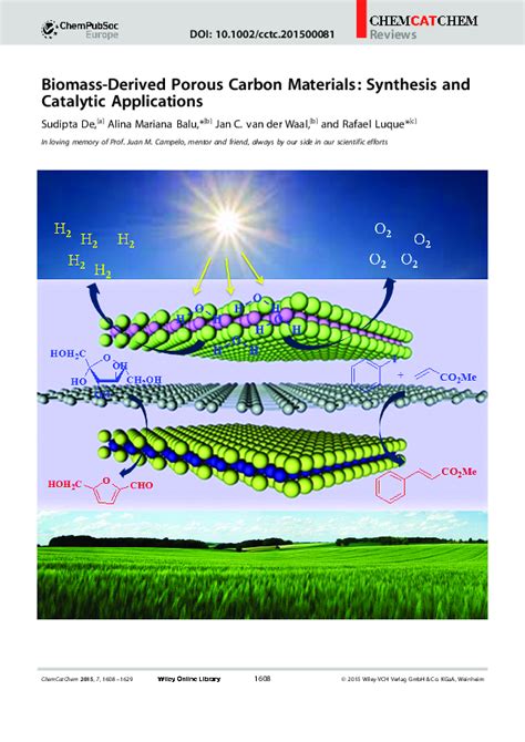 Pdf Biomass Derived Porous Carbon Materials Synthesis And Catalytic