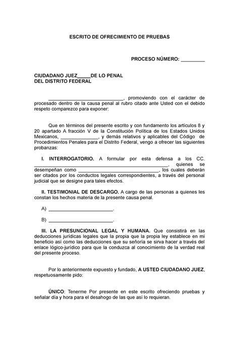 Introducir Imagen Modelo De Escrito De Ofrecimiento De Pruebas