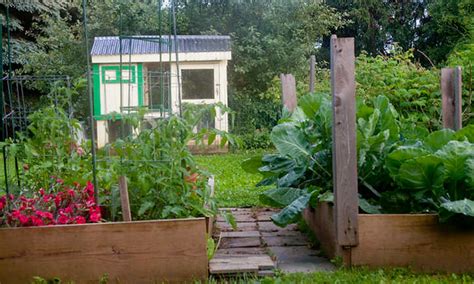 Growing Tomatoes In Raised Beds Getting Started Epic Gardening