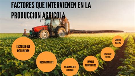 FACTORES QUE INTERVIRNEN EN LA PRODUCCION AGRICOLA By Lina Yineth