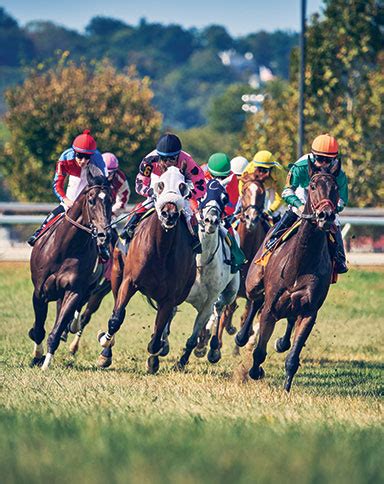 Racing News | Delta Downs Casino Hotel in Vinton, LA