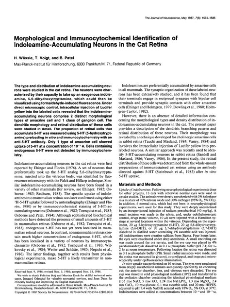 Pdf Morphological And Immunocytochemical Identification Of