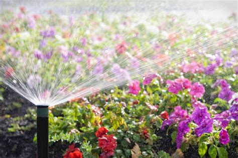 Why You Should Consider Garden Irrigation - Green Earth Services of TX