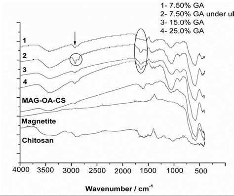 Ftir Drifts Spectra Corresponding To Magnetite Chitosan Mnps And