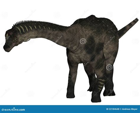 Antarctosaurus Dinosaur D Render Stock Photography Cartoondealer