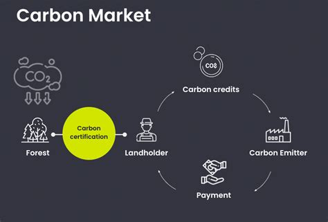 Carbon Credits What Are They And How Do They Work