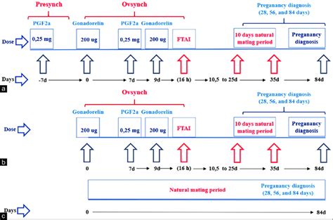 Experimental Schedule Of The Study A Pre Synch Ovsynch Protocol B