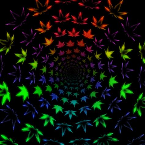 Weed Drugs GIF - Find & Share on GIPHY