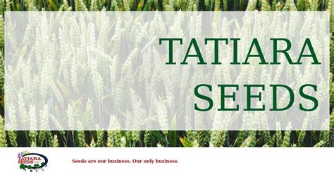 Tatiara Seeds