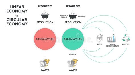 The Vector Infographic Diagram Of The Difference Between The Circular