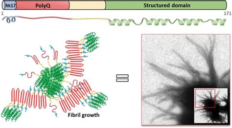 A New Chemoenzymatic Semisynthetic Approach Provides Insight Into The