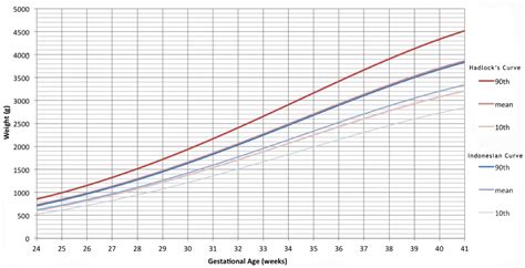 Fetal Weight Percentile Calculator My Bios