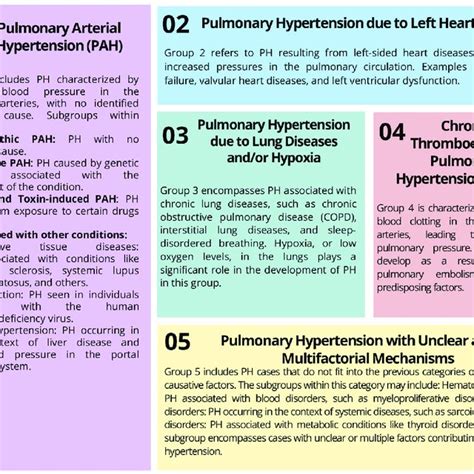 Pulmonary Hypertension Classification Based On [2] Download